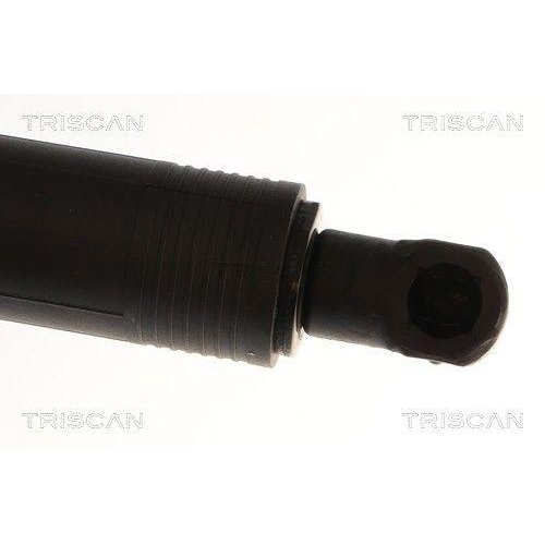 TRISCAN Gasfeder, Koffer-/Laderaum 8710 11381