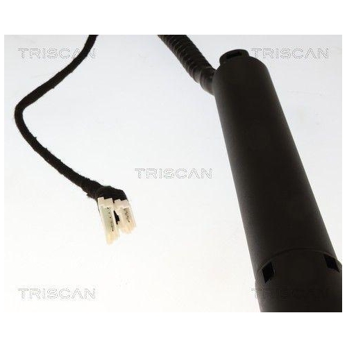 TRISCAN Gasfeder, Koffer-/Laderaum 8710 11383