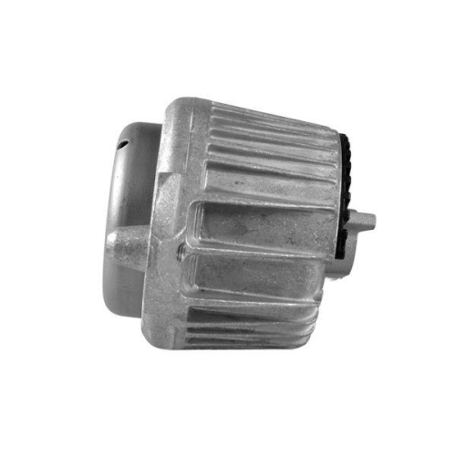 TEDGUM Lagerung, Motor TED53841