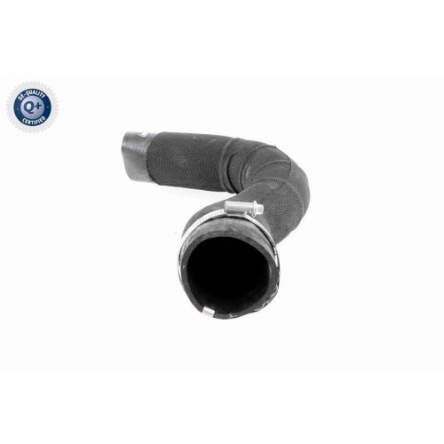 VAICO Ladeluftschlauch Q+, Erstausr&uuml;sterqualit&auml;t V48-0182