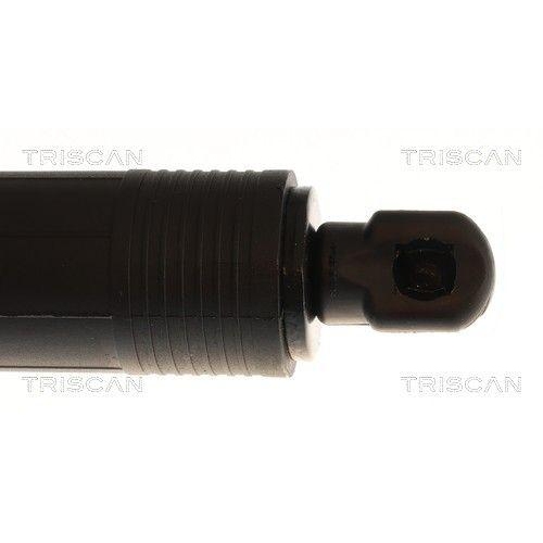 TRISCAN Gasfeder, Koffer-/Laderaum 8710 11385