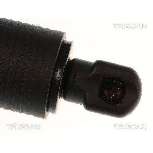 TRISCAN Gasfeder, Koffer-/Laderaum 8710 14301