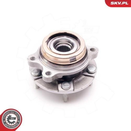 ESEN SKV Radlagersatz 29SKV134