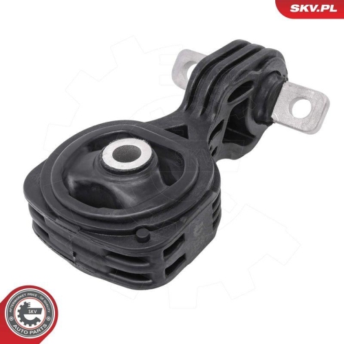 ESEN SKV Lagerung, Motor 75SKV314