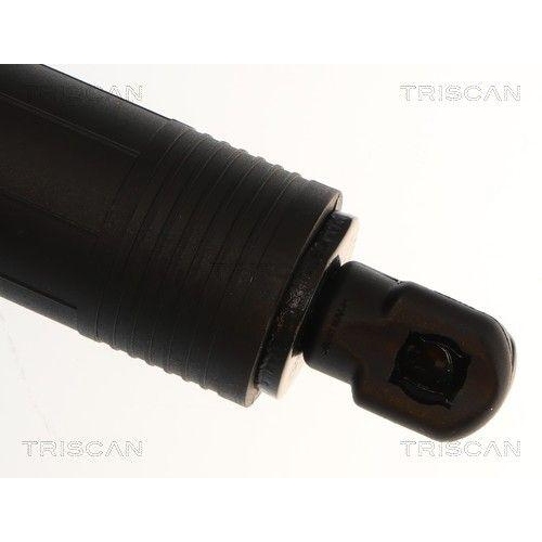 TRISCAN Gasfeder, Koffer-/Laderaum 8710 14303