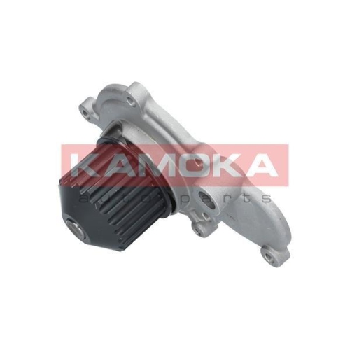 KAMOKA Wasserpumpe, Motorkühlung T0075