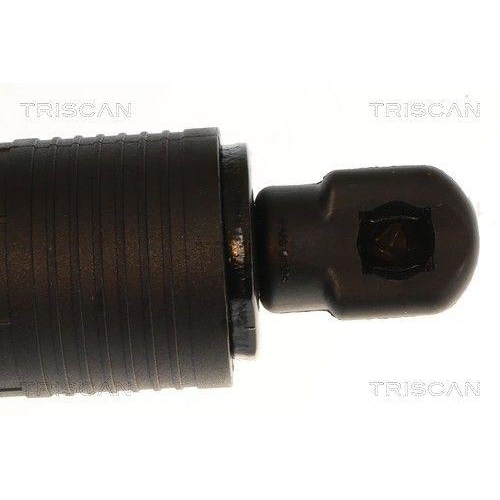TRISCAN Gasfeder, Koffer-/Laderaum 8710 14304
