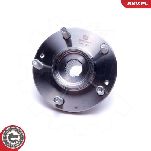 ESEN SKV Radlagersatz 29SKV481
