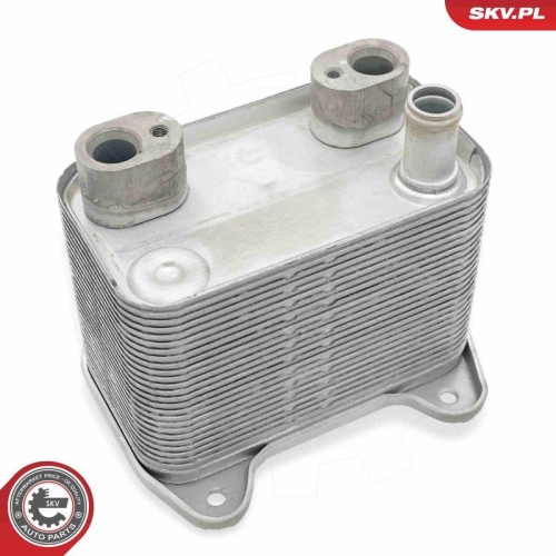ESEN SKV &Ouml;lk&uuml;hler, Motor&ouml;l 31SKV297