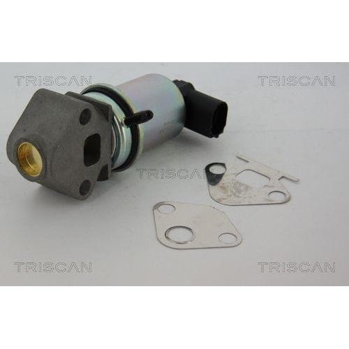 TRISCAN AGR-Ventil 8813 29011