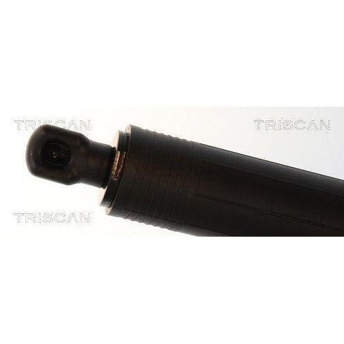 TRISCAN Gasfeder, Koffer-/Laderaum 8710 16318