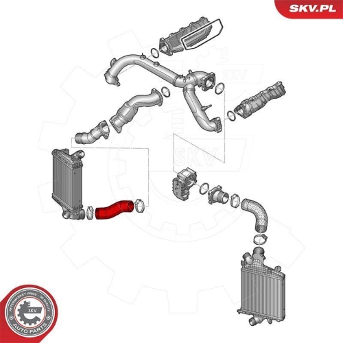 ESEN SKV Ladeluftschlauch