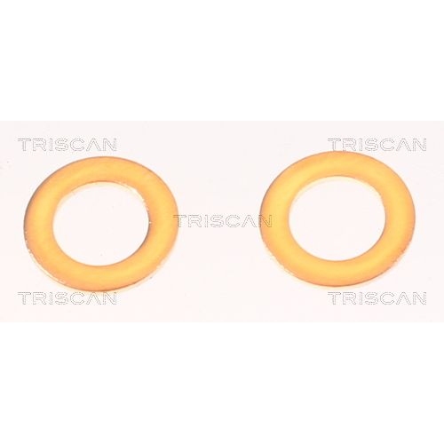 TRISCAN Bremsschlauch 8150 42287