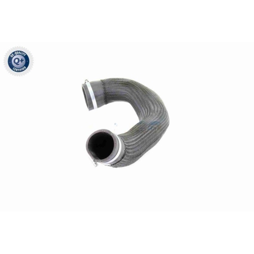 VAICO Ladeluftschlauch Q+, Erstausrüsterqualität V10-3834