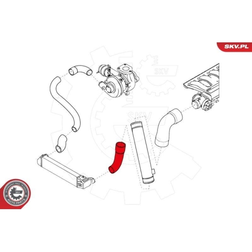 ESEN SKV Ladeluftschlauch