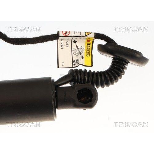 TRISCAN Gasfeder, Koffer-/Laderaum 8710 23324