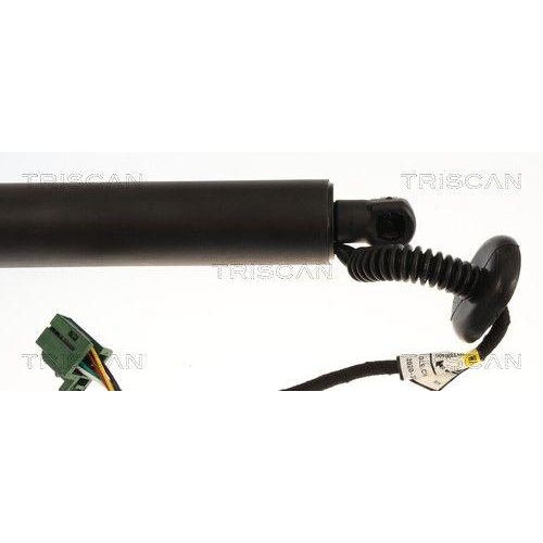 TRISCAN Gasfeder, Koffer-/Laderaum 8710 23325
