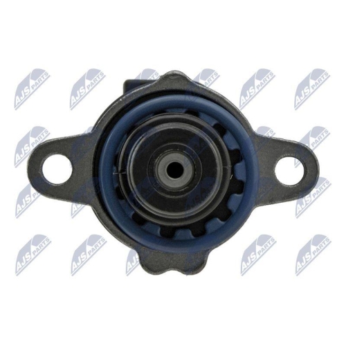 NTY Regelventil, Kraftstoffmenge (Common-Rail-System) ESCV-BM-001