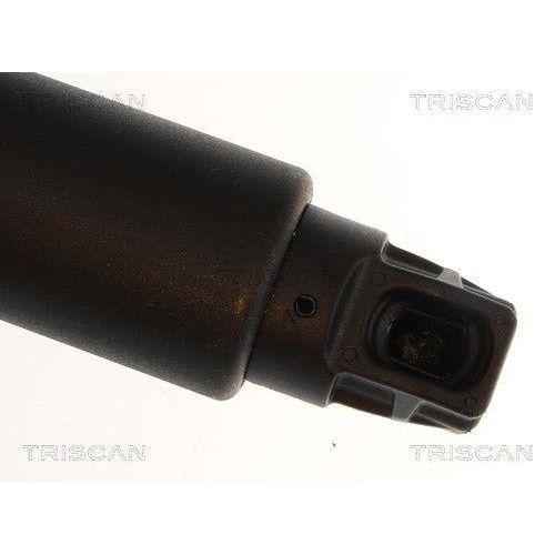 TRISCAN Gasfeder, Koffer-/Laderaum 8710 24307