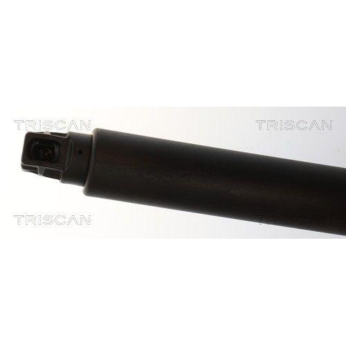 TRISCAN Gasfeder, Koffer-/Laderaum 8710 24308
