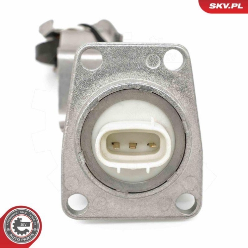 ESEN SKV Sensor, Motor&ouml;lstand 17SKV940