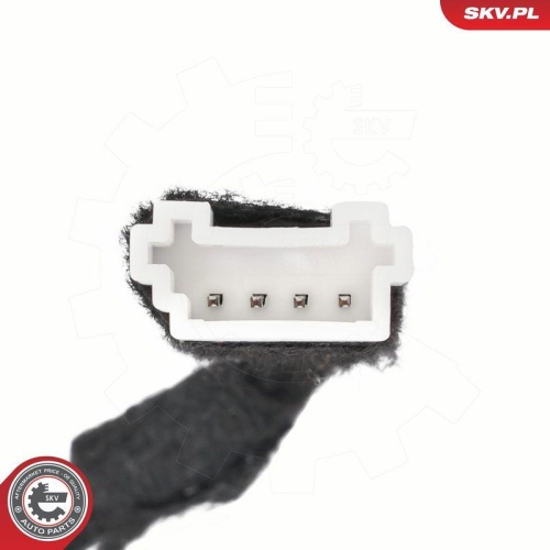 ESEN SKV Elektromotor, Heckklappe 52SKV973