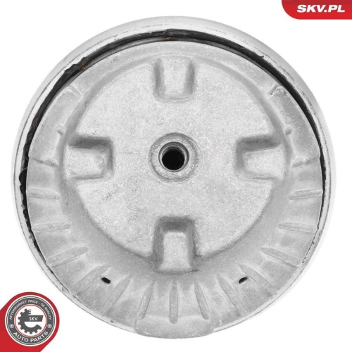 ESEN SKV Lagerung, Motor