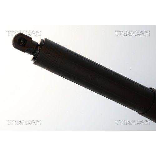 TRISCAN Gasfeder, Koffer-/Laderaum 8710 25303