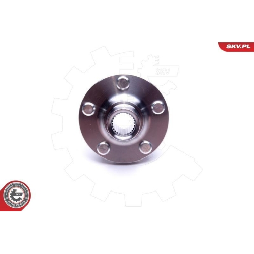 ESEN SKV Radlagersatz
