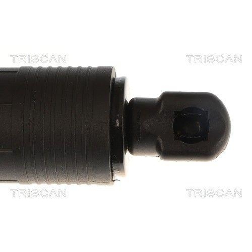 TRISCAN Gasfeder, Koffer-/Laderaum 8710 25304