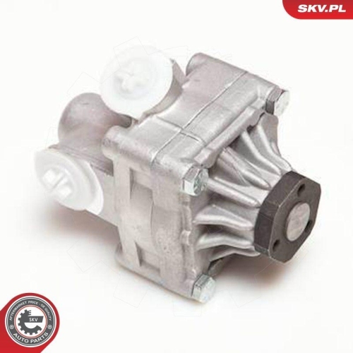 ESEN SKV Hydraulikpumpe, Lenkung 10SKV017