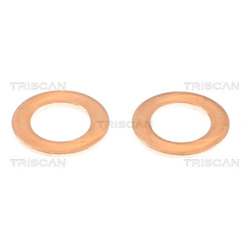 TRISCAN Bremsschlauch 8150 432013