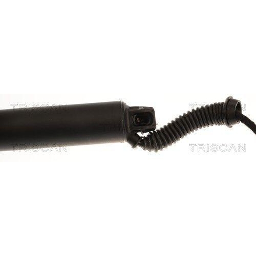 TRISCAN Gasfeder, Koffer-/Laderaum 8710 27320