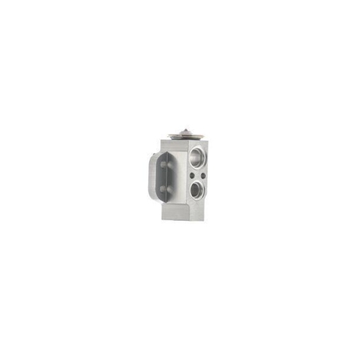 MAHLE Expansionsventil, Klimaanlage BEHR AVE 174 000S