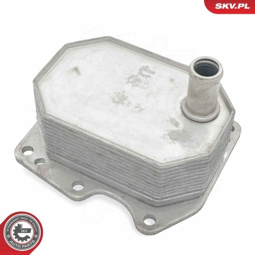 ESEN SKV &Ouml;lk&uuml;hler, Motor&ouml;l 31SKV304