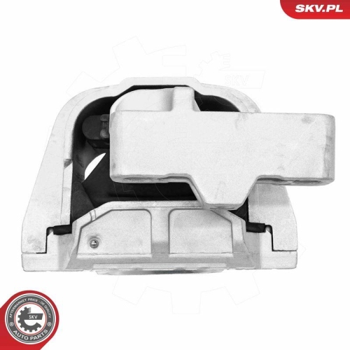 ESEN SKV Lagerung, Motor 75SKV253
