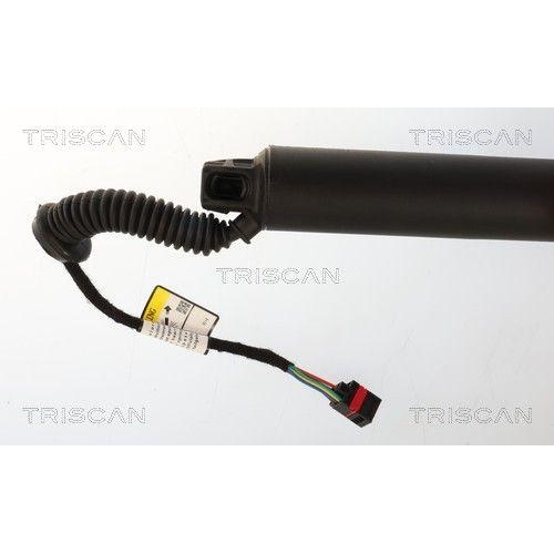 TRISCAN Gasfeder, Koffer-/Laderaum 8710 27321