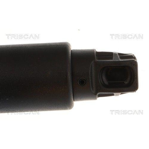 TRISCAN Gasfeder, Koffer-/Laderaum 8710 28305