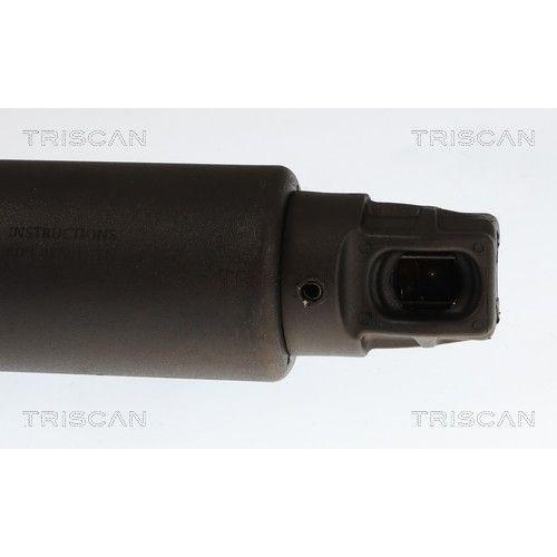 TRISCAN Gasfeder, Koffer-/Laderaum 8710 28306