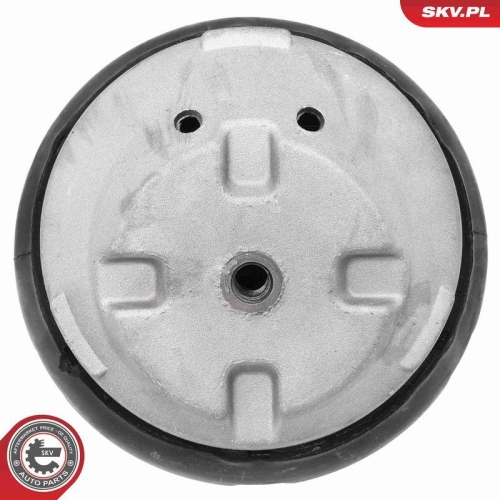 ESEN SKV Lagerung, Motor 75SKV002