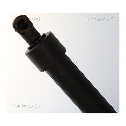 TRISCAN Gasfeder, Koffer-/Laderaum 8710 28309