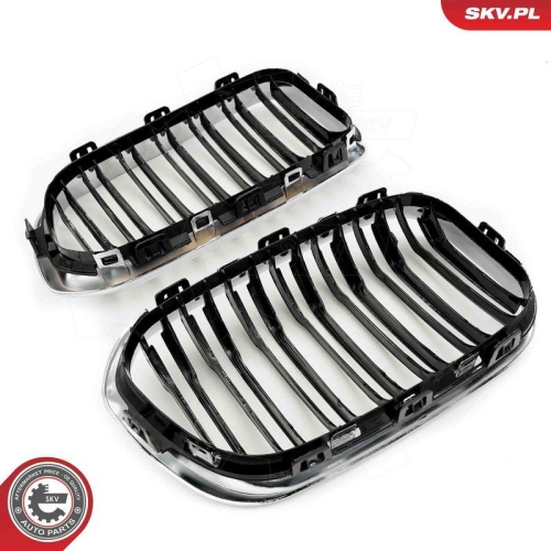 ESEN SKV Kühlergitter