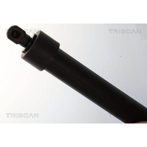 TRISCAN Gasfeder, Koffer-/Laderaum 8710 28311