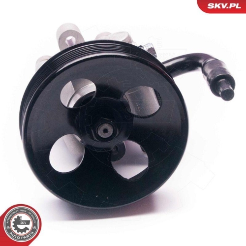 ESEN SKV Hydraulikpumpe, Lenkung 10SKV201
