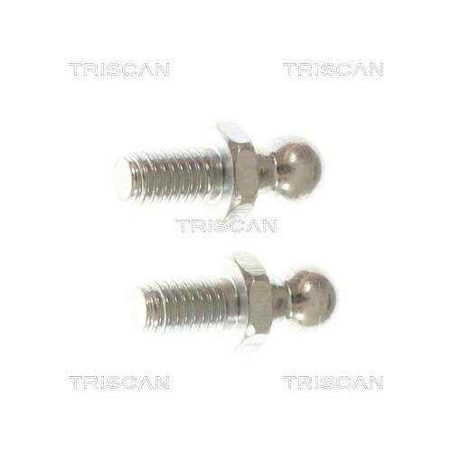 TRISCAN Gasfeder, Koffer-/Laderaum 8710 292091