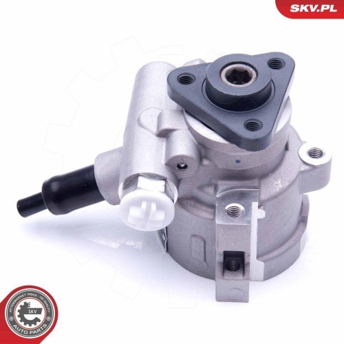 ESEN SKV Hydraulikpumpe, Lenkung 10SKV258