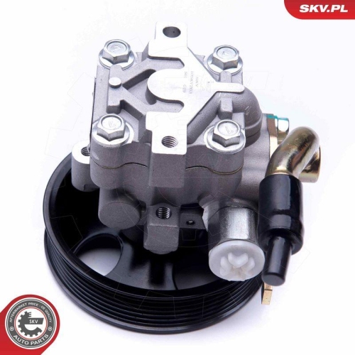 ESEN SKV Hydraulikpumpe, Lenkung 10SKV263
