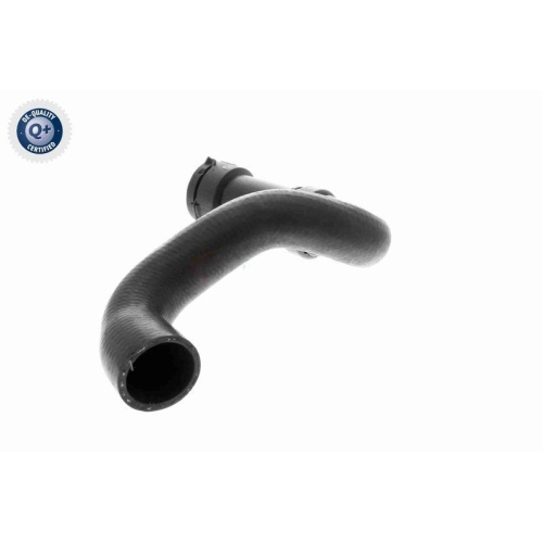 VAICO Kühlerschlauch Q+, Erstausrüsterqualität V10-3196