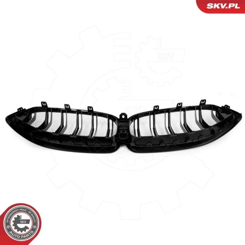 ESEN SKV Kühlergitter