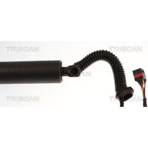 TRISCAN Gasfeder, Koffer-/Laderaum 8710 29333